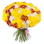 Хризантемы кустовые